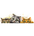 cats wall sticker graphic colored hand-drawn vector image vector image
