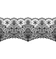 floral lace border vector image vector image
