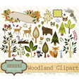 woodland clipart vector image