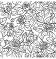 rose seamless pattern vector image