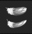 white swan feathers on transparent background vector image vector image