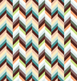 spunky herringbone vector image