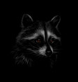 portrait of a cute raccoon on a black background vector image