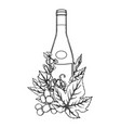 graphic bottle of wine decorated with grape leaves vector image