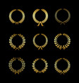 laurels gold wreaths golden branches with leaf vector image vector image