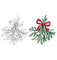 christmas coloring page mistletoe bouquet vector image