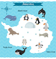 Map antarctica continent with different animals Vector Image