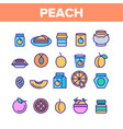 peach fruit color elements icons set vector image