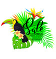 summer sale bright composition with toucan vector image vector image
