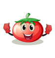tomato vector image vector image