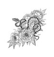 twisted snake among peony flowers vector image