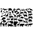 animals vector image