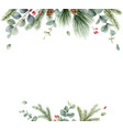 watercolor christmas card with fir branches vector image vector image