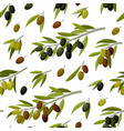 branches with olives seamless pattern vitamin vector image