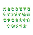fresh leaf alphabet template design vector image