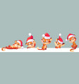 new year tiger in santa hat 2022 chinese zodiac vector image vector image