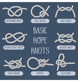 set of nautical rope knots vector image