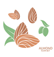 almond icon set isolated fruit on white vector image