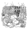 coral reef design vector image