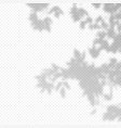 realistic transparent overlay blured shadow vector image