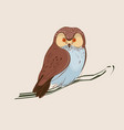 brown owl on branch vector image vector image