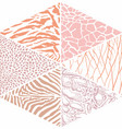 color wild animal background vector image vector image