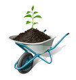 wheelbarrow with green plant building instrument vector image vector image