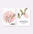 physalis tender flowers and leaves greeting card vector image