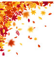autumn falling leaves nature background with red vector image