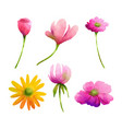 flowers set in watercolor style isolated on white vector image