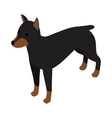 doberman dog icon isometric 3d style vector image vector image
