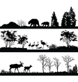 wild animals bear flamingo deer vector image