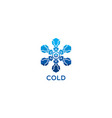 cold symbol logo design snowflake icon vector image