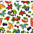 seamless pattern realistic summer berries isolated vector image vector image
