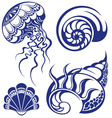 set of jellyfish and various sea shells vector image