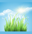 frash spring green grass background vector image