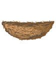 birds nest isolated vector image