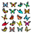collection of colorful butterflies flying vector image vector image