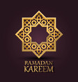 eight-pointed star ramadan kareem cover vector image