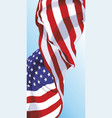 national flag of the usa vector image vector image
