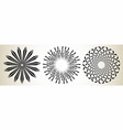 abstract spiral swirl twirl mandala motif icon vector image vector image