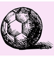 handball ball vector image