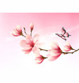 nature background with blossom branch of pink vector image