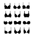 bra design and panties styles vector image vector image