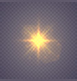 shining star vector image