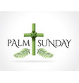 christian palm sunday cross theme vector image vector image