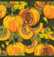 botanical seamless pattern with pumpkins flowers vector image
