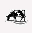 feeding cow stylized silhouette vector image