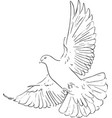 dove hand made image vector image