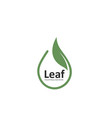 leaf icon drop concept design template vector image